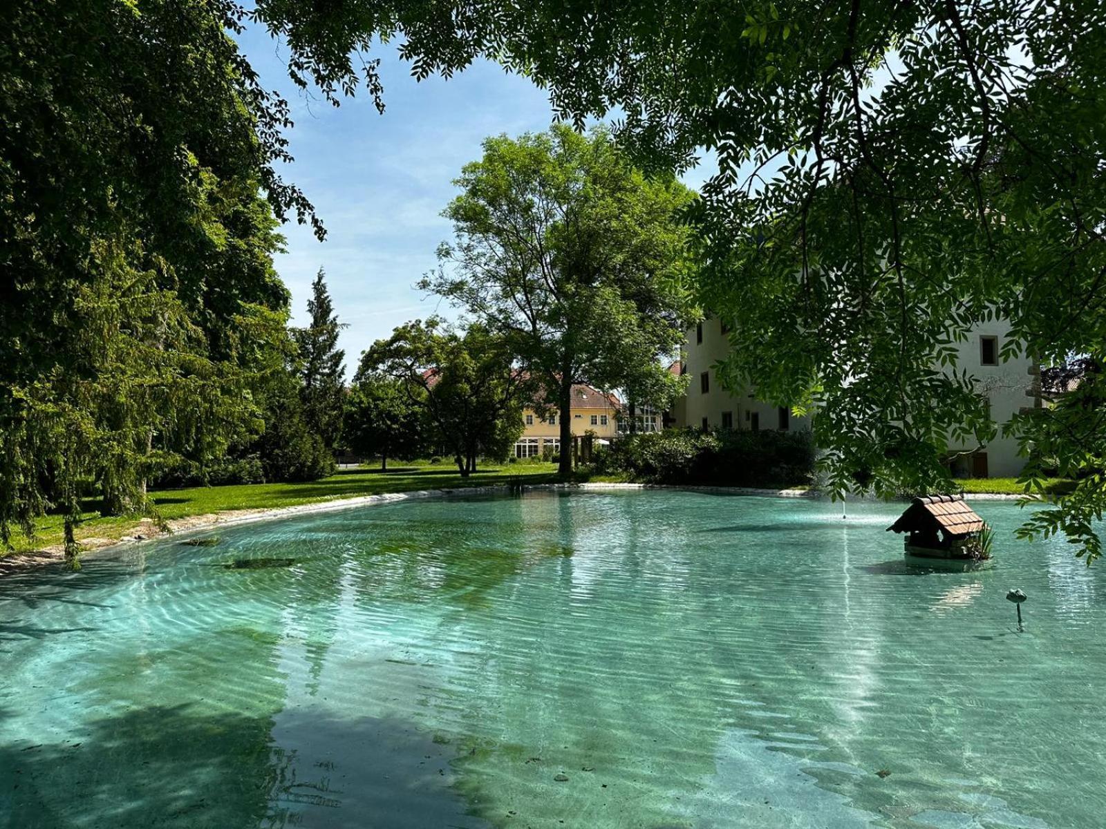 Schloss Neckarbischofsheim Екстериор снимка