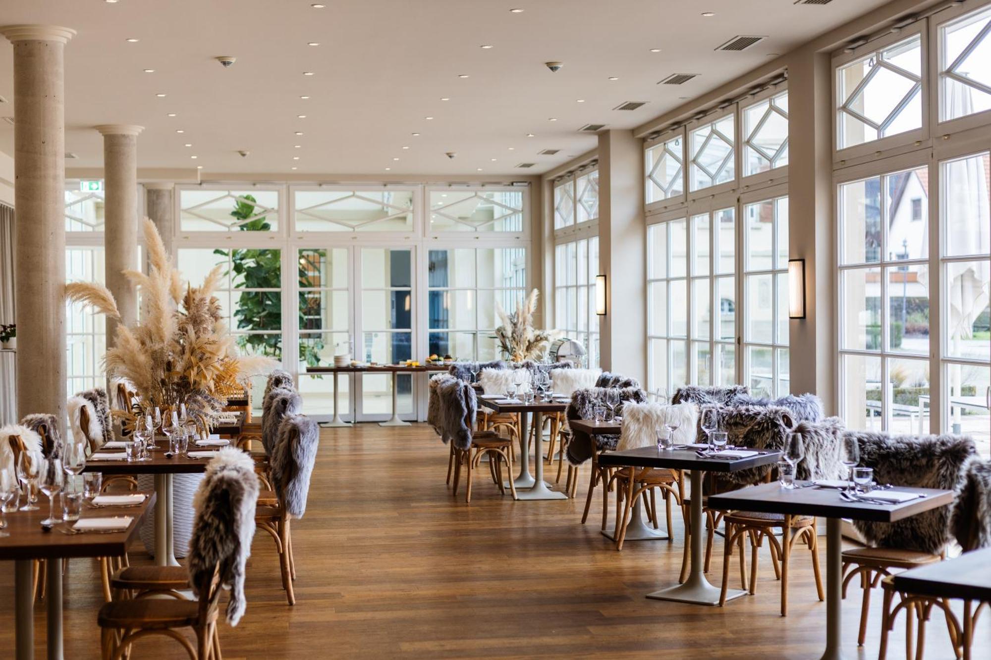Schloss Neckarbischofsheim Екстериор снимка